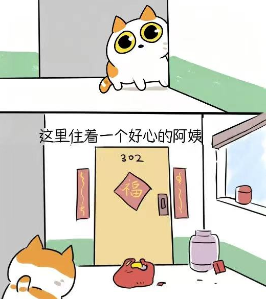 有孝心的小猫